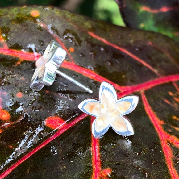 HWN Sterling Silver Kauai crushed shell stud earrings - Picture 6 of 7